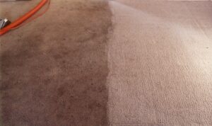 чистка ковров от любых загрязнений в домашних условиях